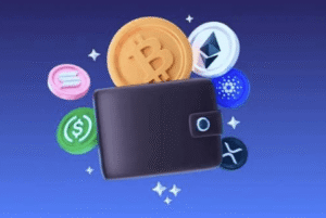 What Is a Crypto Wallet?